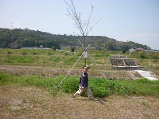 sin kouの桜　&　久々の福岡♪_f0202633_10363517.jpg