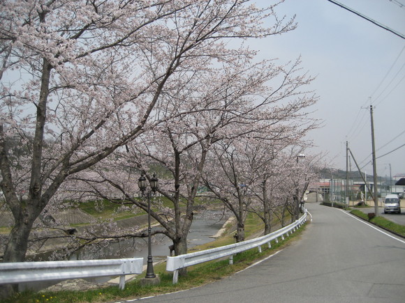 c0209334_17133084.jpg
