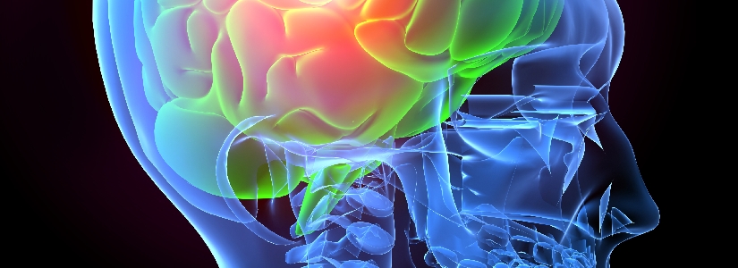 b0195635_2281385.jpg