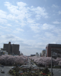 f0038336_7484886.jpg