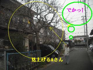 f0031037_1727463.jpg