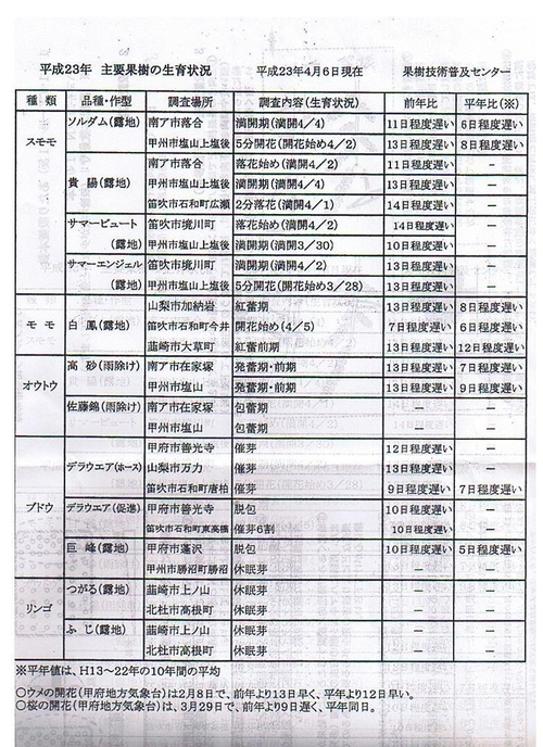 桃は平年比１週間程度遅れてます。_a0135342_9302536.jpg