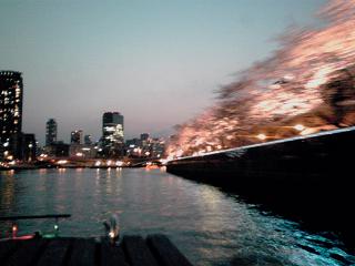 a0137142_94541.jpg