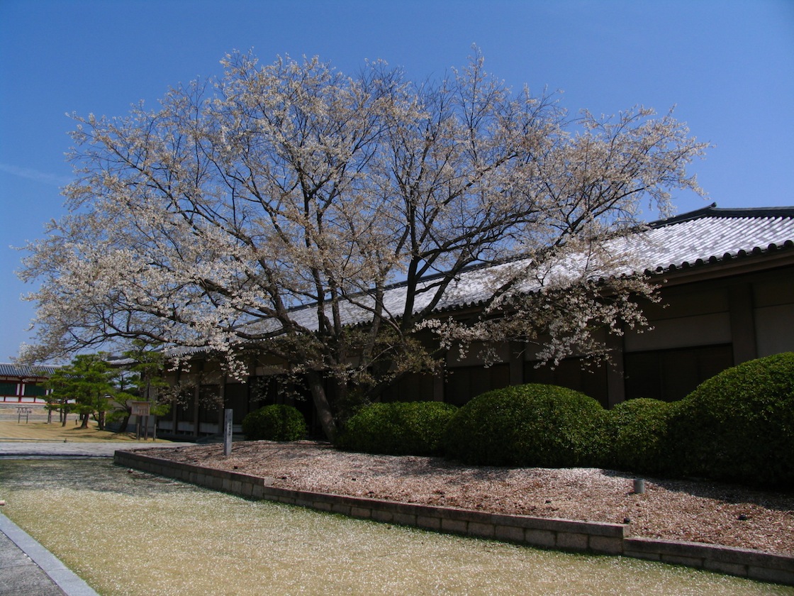 d0027244_03410.jpg