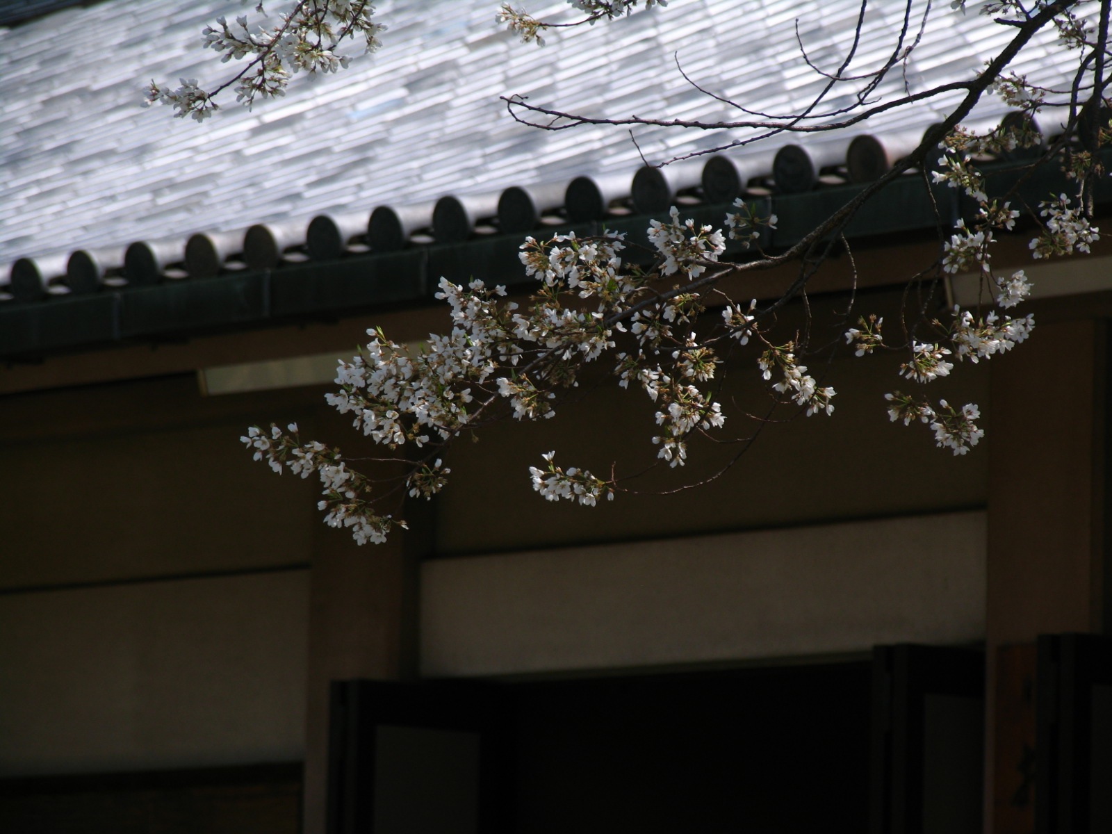 d0027244_043296.jpg