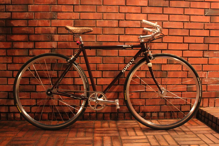 SURLY_a0152550_12545863.jpg