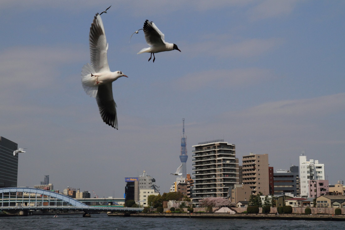 c0212450_1735928.jpg