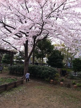 f0201156_10242259.jpg