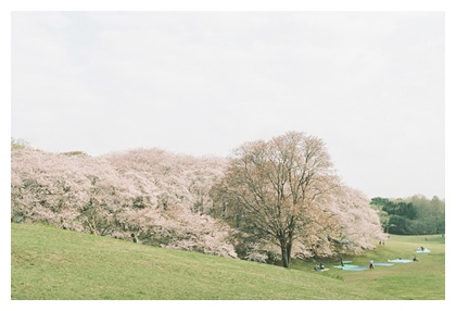 根岸森林公園_b0148858_795156.jpg