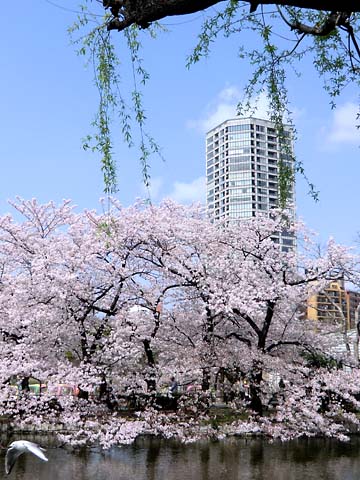 e0220159_16565975.jpg