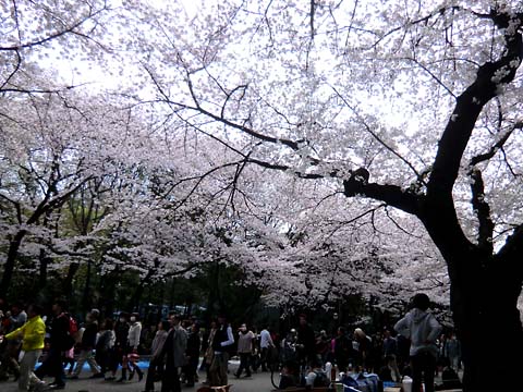 e0220159_16572076.jpg