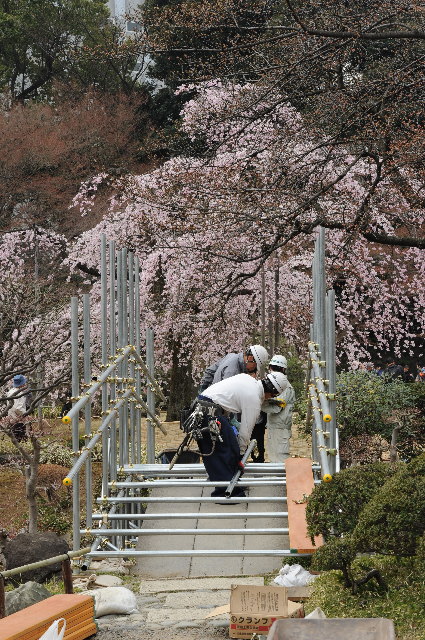 小石川後楽園 ~桜~_f0222161_21321558.jpg