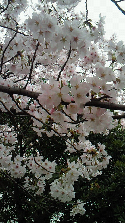 f0233661_16799.jpg