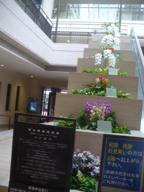 a0063364_2349186.jpg
