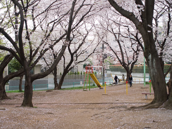 b0171364_10163293.jpg