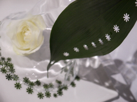 e0086864_0231791.jpg