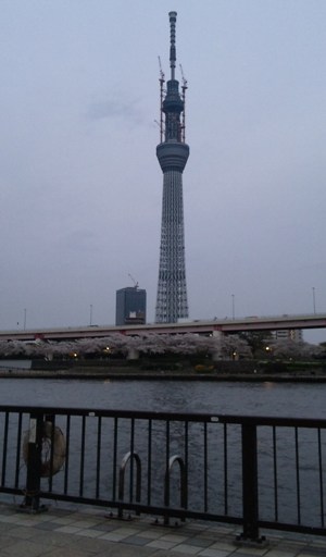 4 11 月 東京スカイツリー スタッフブログ 4 11 月 東京スカイツリー スタッフブログ