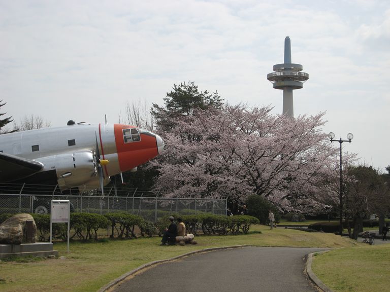 お花見堪能してきました♪_b0075575_049873.jpg