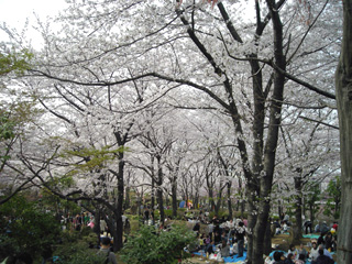 a0109476_2243314.jpg