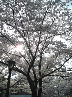 a0109476_22463740.jpg