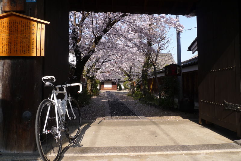 久々にネオプリ出動～大宇陀・又兵衛桜鑑賞サイクリング～_c0177576_16121498.jpg