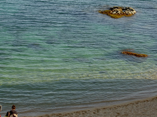 e0205478_1184568.jpg