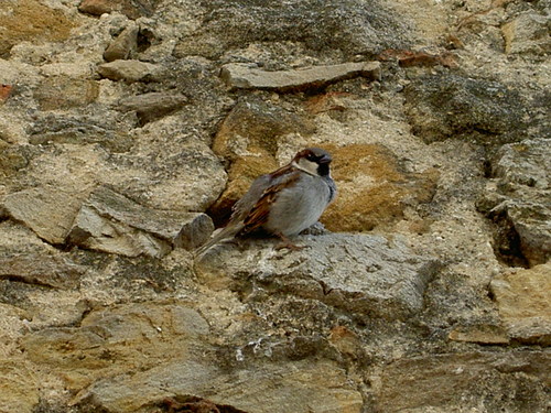 e0205478_1283638.jpg