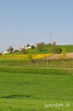 e0012482_0214372.jpg