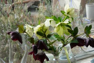 2011年4月11日 フレキシブル_b0098584_8243766.jpg