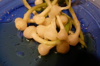 2011年4月11日 フレキシブル_b0098584_8272885.jpg