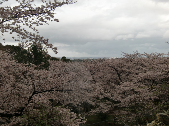 b0207284_3273749.jpg