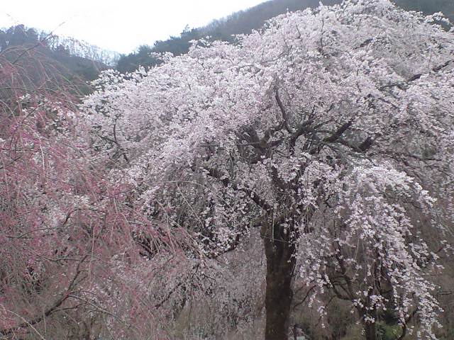 c0206084_21501847.jpg