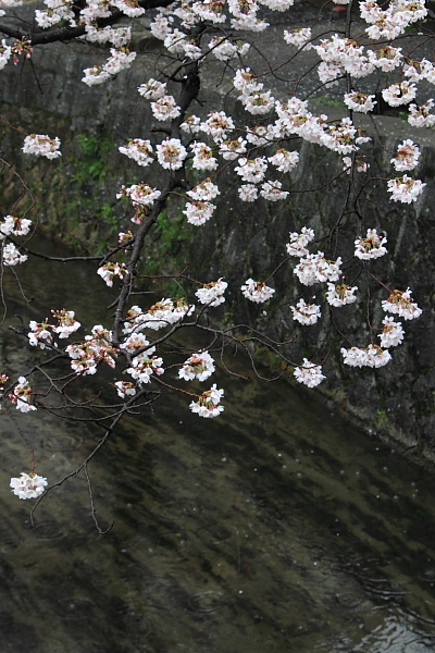 e0051888_60535.jpg