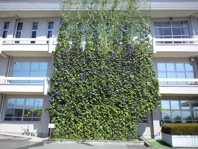 f0197688_1715115.jpg