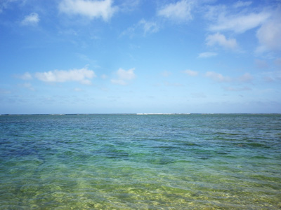 f0220791_13134434.jpg
