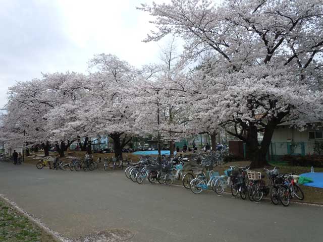 b0120492_18104424.jpg