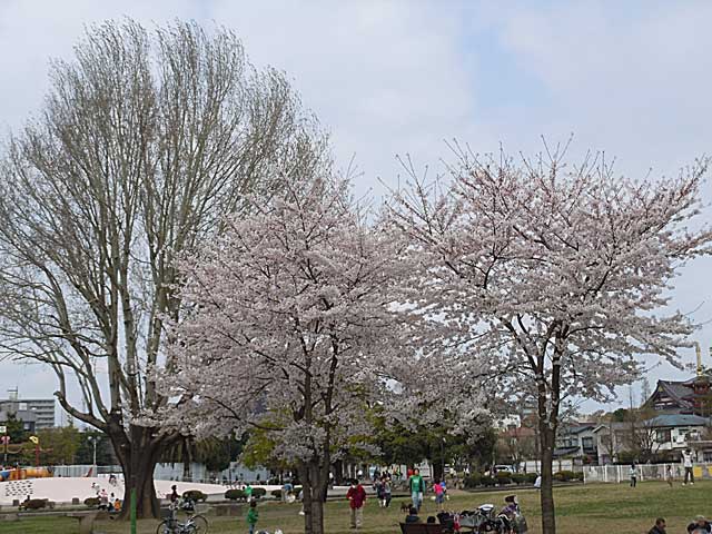 b0120492_1871259.jpg