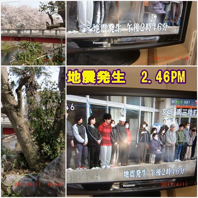 ライラックの季節　　東日本大震災1か月_b0205192_16492561.jpg