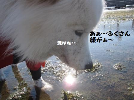 f0212597_972956.jpg