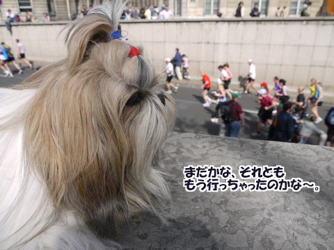 パリマラソン、zenちゃんが完走!_c0090198_4392359.jpg