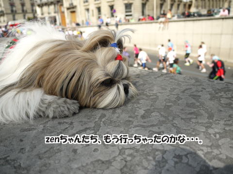 パリマラソン、zenちゃんが完走!_c0090198_4394512.jpg