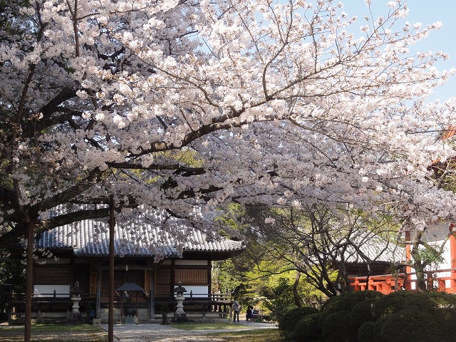 c0125501_8135497.jpg