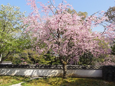 c0125501_8174343.jpg