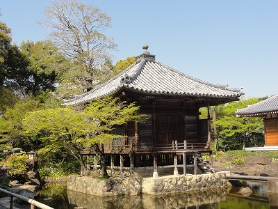 c0125501_8193232.jpg