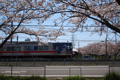 d0090101_178295.jpg