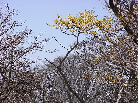f0187402_22575958.jpg