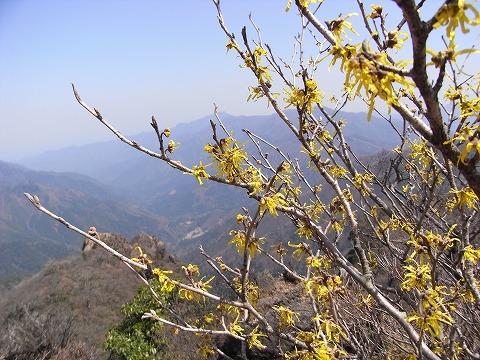 f0187402_22582919.jpg