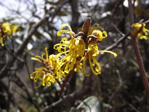 f0187402_2258599.jpg