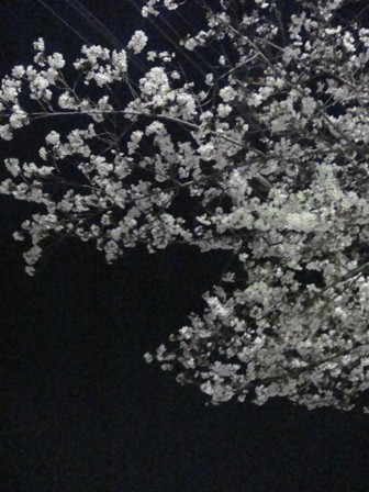 a0167803_835491.jpg