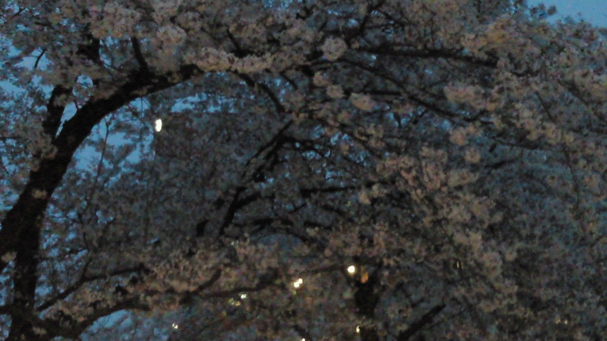 f0209604_22553559.jpg
